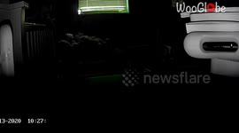 Playful baby girl launches into tears after diving out of her crib