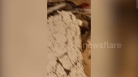 Video shows collapsed ceiling as Hurricane Otis makes landfall near Acapulco