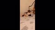 temp