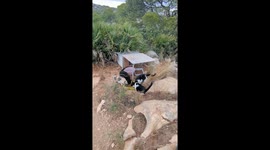 Feeding all the wild different coloured fluffy cats in Spain