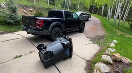 Top 31 Wild Animal Encounters