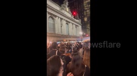 US: Hundreds Of Protesters Storm NYC Grand Central To Demand Israel-Hamas Ceasefire 4