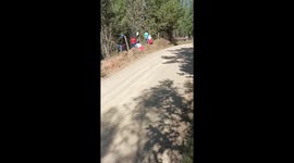 Vehicle in FIA WRC championship veers off road towards spectators in Bio Bio, Chile
