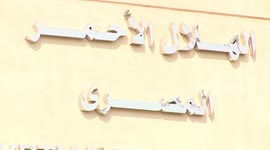 Egypt announces arrival of 84 trucks of humanitarian aid to Gaza