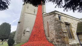 Huge cascade of thousands of knitted poppies pour from church ready for Remembrance Day