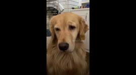 One of These Is Not Like the Others