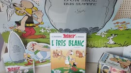 Release of Asterix et l'Iris Blanc (Asterix and the White Iris).   With a new villain character, Vicevertus, a character, according to rumors, inspired by BHL (Bernard-Henri Lévy and Dominique de Villepin)  The 40th Asterix album comes out this Thursday.