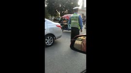 Group of Dogs Embarking on Road with Wagon Catch People’s Eyes in China
