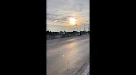 Driver and friends rescue and adopt stranded dog on motorway