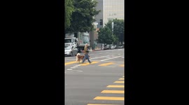 Mufasa Wants To See Dad So Bad