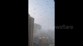 Massive flock of black birds blanket Chinese sky