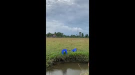 Water hole chair challenge ends with a splash!