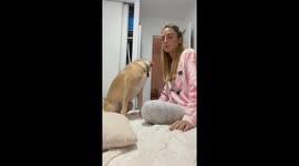 Doggy Doesn't Want Kisses