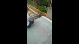 Dedicated Male Weasel Rescues Trapped Mate in China