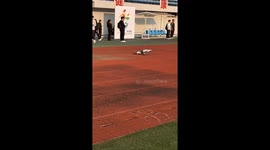 Robot dogs perform at university opening ceremony in China