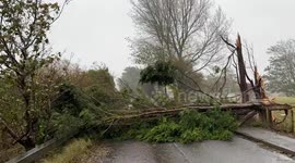 Storm Ciaran: Road blocked by fallen tree as 'danger to life' warning issued in Kent