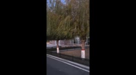 Hush, Little Bird! Unusual Request of Man Quiets Noisy Bird in China