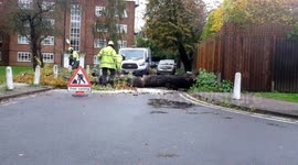 after storm Ciaran  tree clearing,  west duwich, south east london  uk