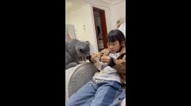 Furry Rivalry: Chinese Kitty Gets Second Place in the Attention Game