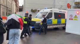 Police arrest a pro Palestine 