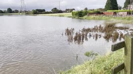 Flooding hits County Down as Storm Ciaran arrives in UK