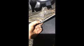 Dirty canine filter. Result lack of car maintenance.