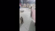 temp