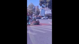 Pet dog pulls cart with rooster in the back