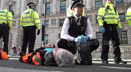 Just Stop Oil activists arrested after obstructing traffic near Downing Street in London, UK