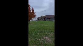 Woman Rescues Doe With Jug Stuck on Her Head