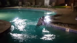 Can You Believe This