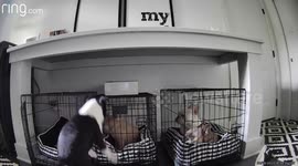 Charlie Tries To Break Out His Prisonmates