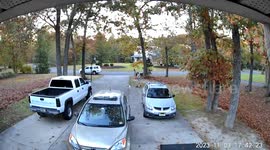 Deer crashes into back of pickup truck as prospective buyer pulls up to view it