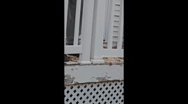 A wholesome interaction wity my neighbor dean as he stand on his deck and visits with me .