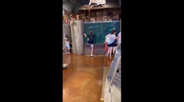 Shocking aquarium dive in Izmir, Turkey