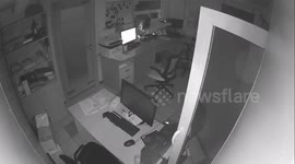 St. Petersburg car dealership robbery suspect apprehended: 2 million rubles theft