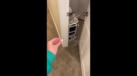 Woman Plays Trick on Her Unsuspecting Husband