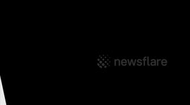 American composer: bridging East and West through music