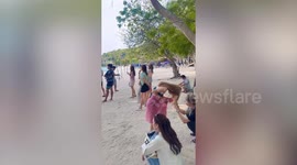 Tourists queue to take photos under tree 'to pretend they are in Korea'