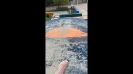 Dog Makes Her Own Fun at the Park