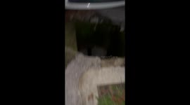 Car Drives Over Large Hole In Ground