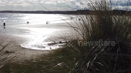 Huge 90ft poppy carved onto beach ahead of Remembrance Day