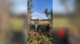 Ancient Hedgerow destroyed at one of Britain's last city farms