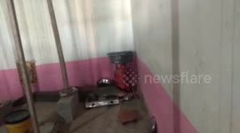 Indian homeowner terrified after crocodile sneaks into kitchen