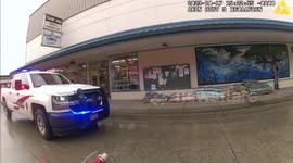 Hungry Baby Black Bear Euthanised After Grocery Visit In Petersburg, AK, USA