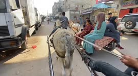 Journalist hails a donkey as beasts of burden replace buses and taxis in fuel-starved Gaza
