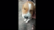 temp
