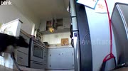temp