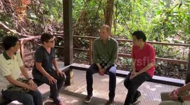 The Prince of Wales in the Singapore jungle hearing about conservation