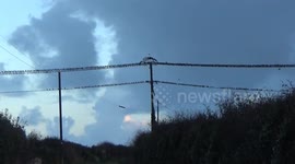 Starling Murmuration , i was driving to wadebridge and saw my first gathering on a powerline of starlings